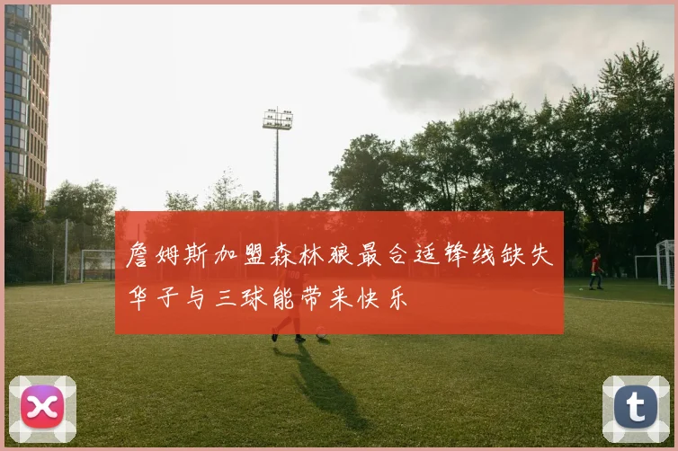 詹姆斯加盟森林狼最合适锋线缺失华子与三球能带来快乐