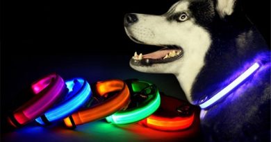 Comprar-collar-luminoso-para-perros